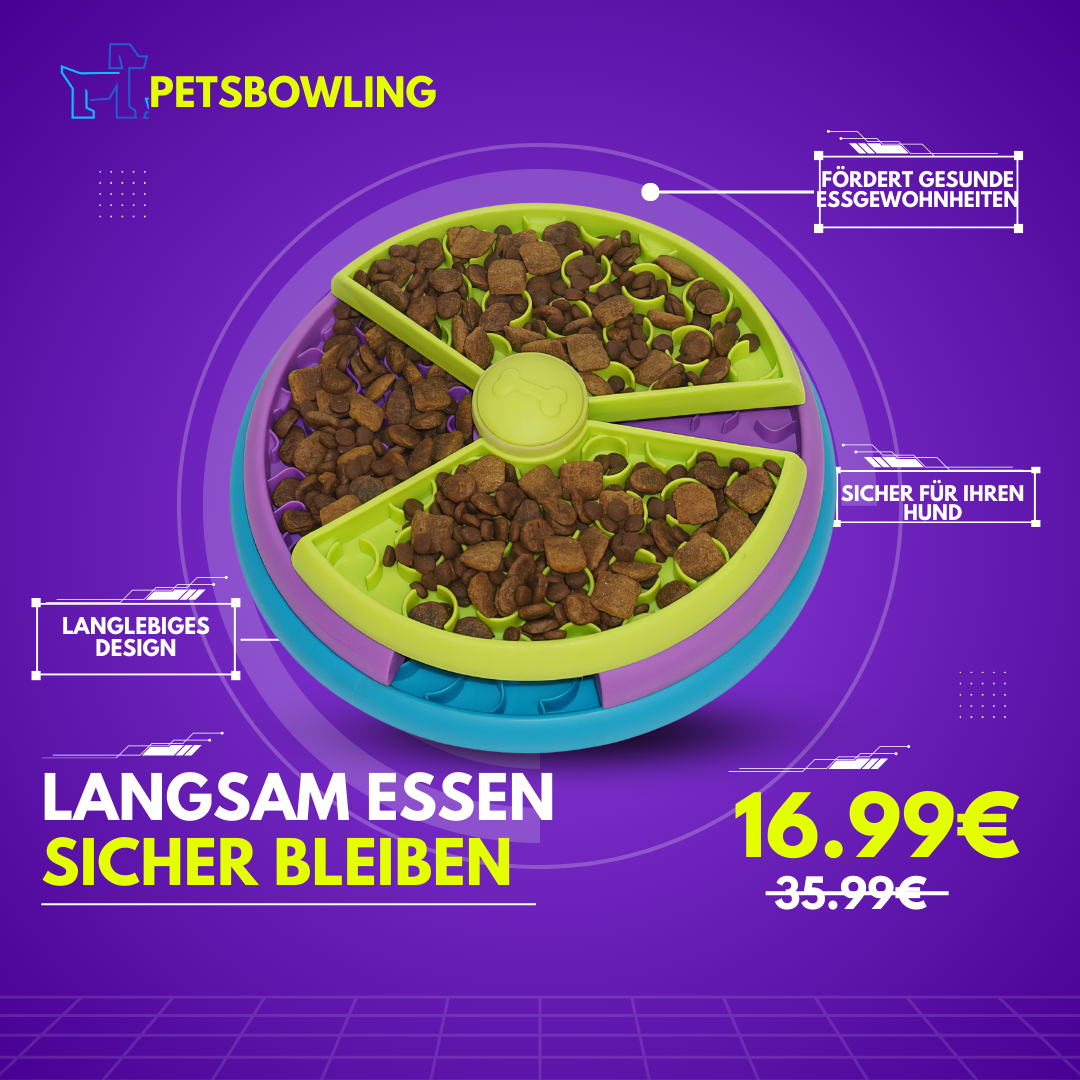 PETSBOWLING™ Hundeschale Slow Feeder - für Trockenfutter